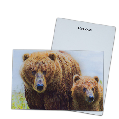 Brauner Bär in Alaska Linsenkarte Souvenir Geschenkkarte für Touristen 3D-Postkarten