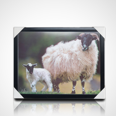 3D-Poster aus PET-Linsendruck 3D-Malerei mit schwarzem PS-Rahmen für die Wohnkultur