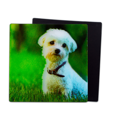 Schöne Welpen 3D-Magnete Linsen 3D-Kühlschrank Magnet zum Souvenir Geschenk