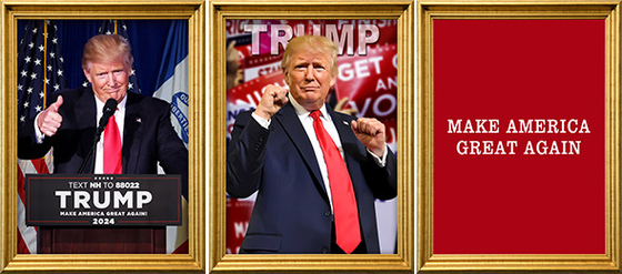 TRUMP entwirft 3D-Druck Customized 3D Lenticular Poster 3D Lenticular Printing